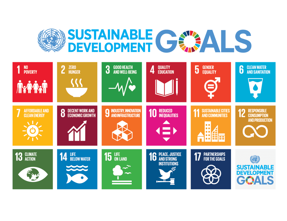 SDG: SDD is taking part!